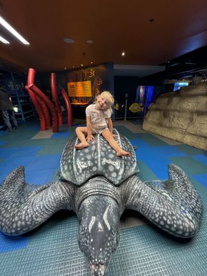 SEA LIFE Kelly Tarlton's Aquarium by null