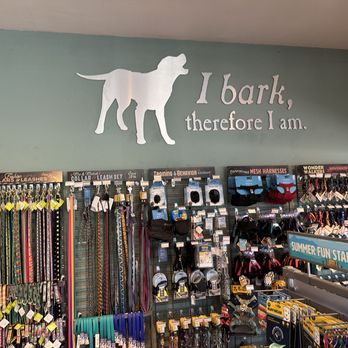 All The Best Pet Care - Leashes, collars, and harnesses for dogs and cats - Pet Stores Near Me - Seattle, Washington All The Best Pet Care - Leashes, collars, and harnesses for dogs and cats - Pet Stores Near Me - Seattle, Washington