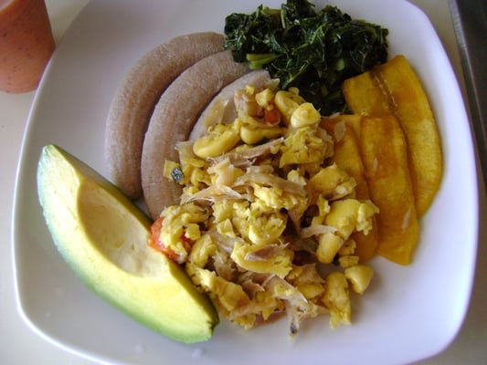 Taste of Eden by null