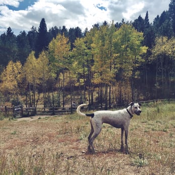 Elk Meadow Stagecoach Trailhead - Marlon's favorite adventures! - Parks Near Me - Evergreen, Colorado Elk Meadow Stagecoach Trailhead - Marlon's favorite adventures! - Parks Near Me - Evergreen, Colorado
