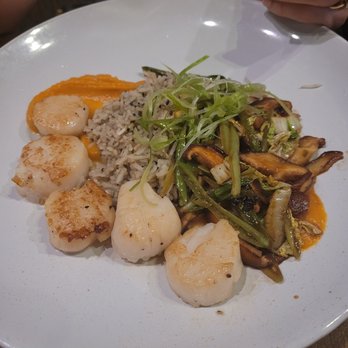 Biscottis - Sea Scallops - American Near Me - Jacksonville, Florida