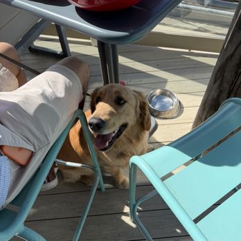Wooly's - Dogs allowed on the patio (water bowls available) - Seafood Near Me - Pismo Beach, California Wooly's - Dogs allowed on the patio (water bowls available) - Seafood Near Me - Pismo Beach, California