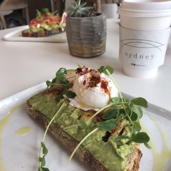 Sydney Providence - Avocado toast, without feta or tomatoes, add poaches egg. - Coffee & Tea Near Me - Providence, Rhode Island Sydney Providence - Avocado toast, without feta or tomatoes, add poaches egg. - Coffee & Tea Near Me - Providence, Rhode Island