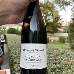 Le Rive Gauche - Local wine