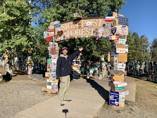 Sign Post Forest by null