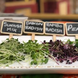 Mi Oh My Hydroponic Farms - microgreen varieties