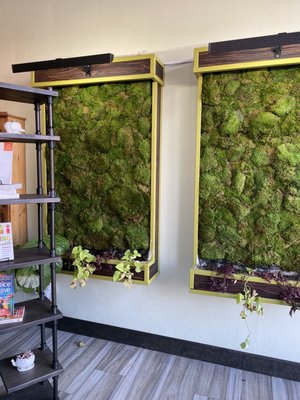 The Juicing Tree by null