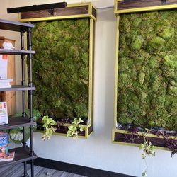 The Juicing Tree - Yay plant walls