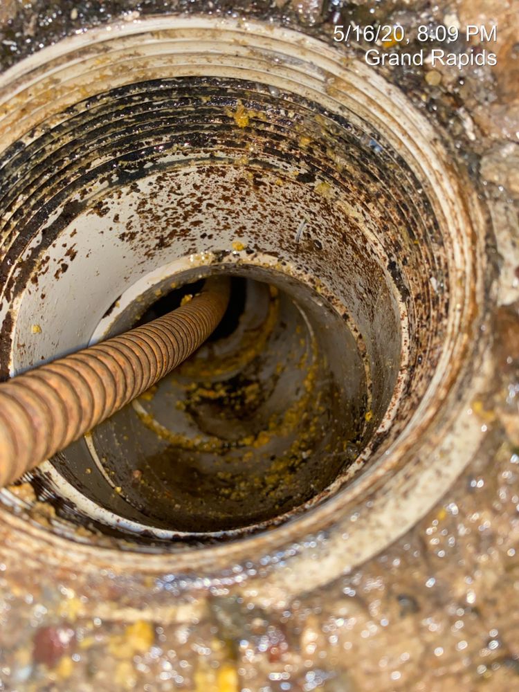 Slide of Drain Monkeys