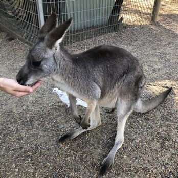 Featherdale Wildlife Park - Parks Near Me - Doonside, NSW Featherdale Wildlife Park - Parks Near Me - Doonside, NSW
