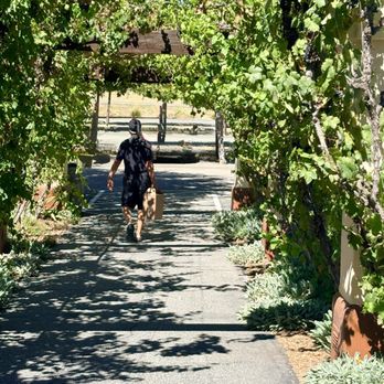 Castoro Cellars - Got our 6 bottles of wine! - Wineries Near Me - Templeton, California Castoro Cellars - Got our 6 bottles of wine! - Wineries Near Me - Templeton, California