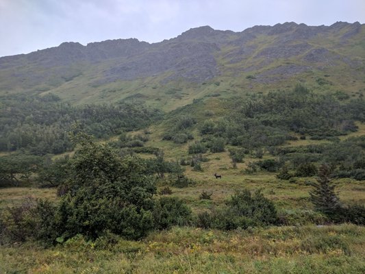 Williwaw Lakes Trail by null