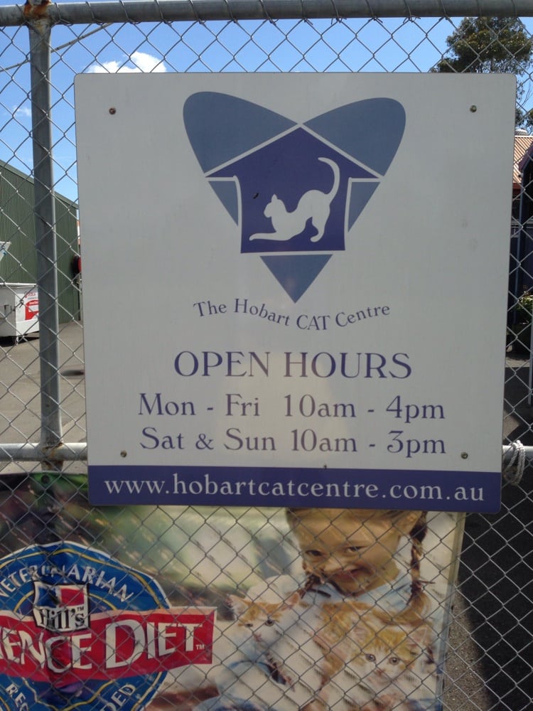 TEN LIVES CAT CENTRE Updated April 2024 12 Selfs Point Rd, New Town