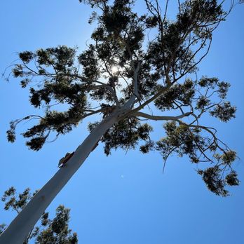 Buena Vista Park - Parks Near Me - Vista, California