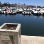 Photo of Faro Marina