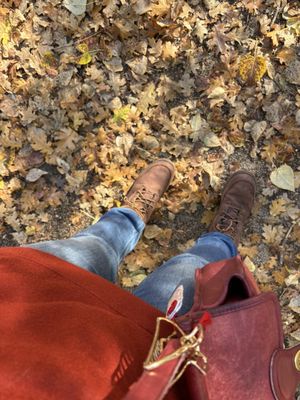 Kings Canyon National Park by null