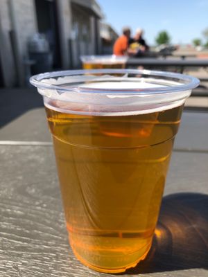 Bluebonnet Beer Company by null