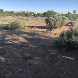 There is also an awesome dog park!!!