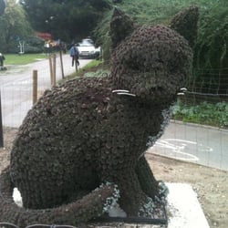 Whittington Park - Cat made entirely out of plants.