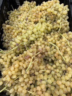 Las Vegas Farmers Market at Uncommons by null