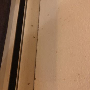 Howard Johnson Inn Red Deer - Wall stains below heater/air conditioner - Hotels Near Me - Red Deer, Alberta