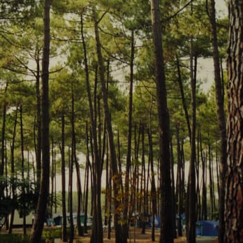 Le Vieux Port - Campgrounds Near Me - Messanges, 40
