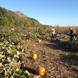 Hartsburg Pumpkin Festival