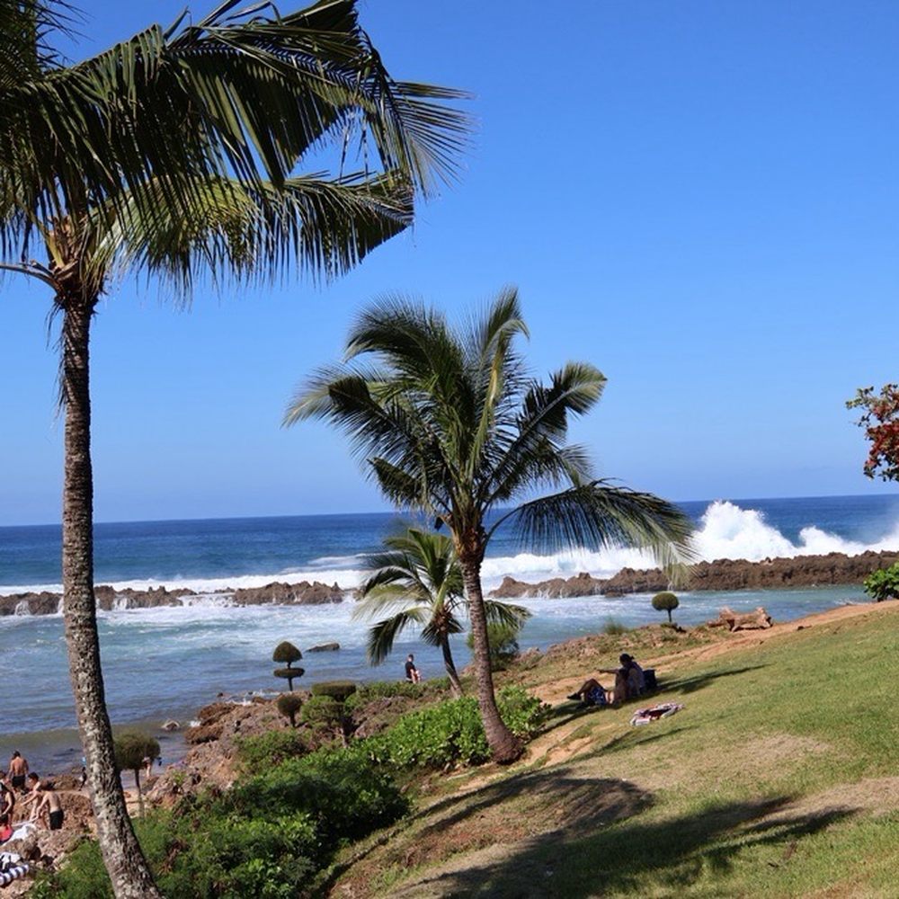 Pupukea Beach Park - Pupukea beach nice waves - Parks Near Me - Haleiwa, Hawaii