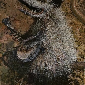 Horn O Plenty - Opossum art - Pizza Near Me - Bedford, Pennsylvania Horn O Plenty - Opossum art - Pizza Near Me - Bedford, Pennsylvania