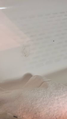 enVision Hotel St. Paul South by null