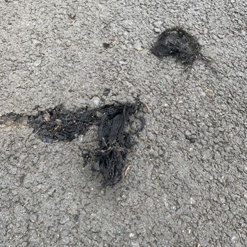 Superior Asphalt Paving - Nylon bag coming thru the pavement. - Masonry/Concrete Near Me - Graham, Washington Superior Asphalt Paving - Nylon bag coming thru the pavement. - Masonry/Concrete Near Me - Graham, Washington