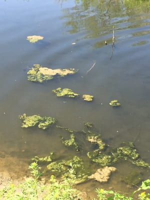 Rio Bosque Park by null