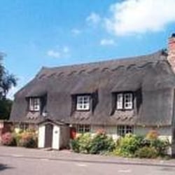 The Yew Tree