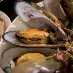 The Astro Lounge - Huge green lipped mussels