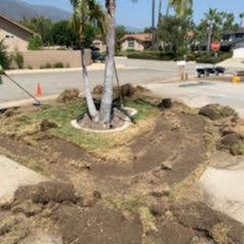 RP Synthetic Turf - Artificial Turf Near Me - Fontana, California RP Synthetic Turf - Artificial Turf Near Me - Fontana, California