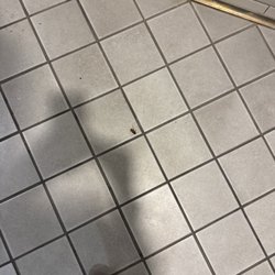 The Plex Athletic Club - Cockroach, occasion 1