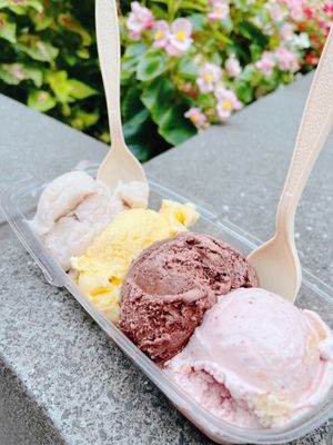 Ice Cream Jubilee - Ballston by null