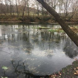 Roy Laughlin Park