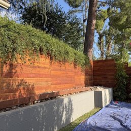 Beautiful new fence Beautiful new fence