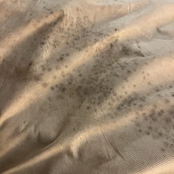 La Paloma Beach & Tennis Club - Asbestos