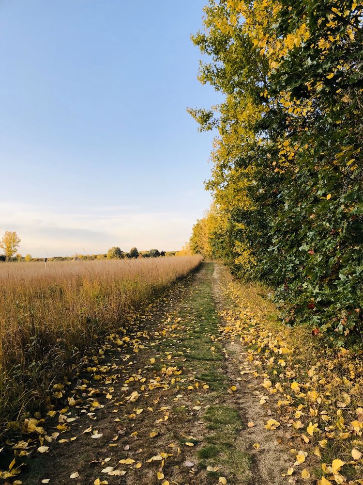 FLUSHING TOWNSHIP NATURE PARK Updated July 2024 10 Photos 8301 N