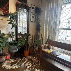 Wholehearted Body Piercing - Waiting area
