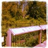 Bill Jarvis Migratory Bird Sanctuary gift card
