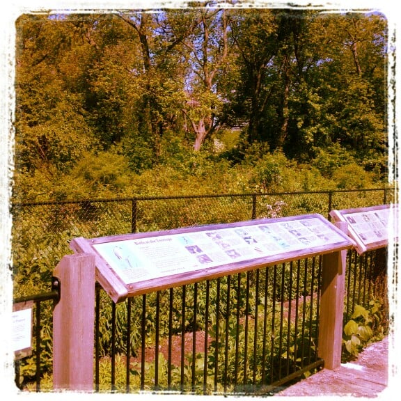 Bill Jarvis Migratory Bird Sanctuary