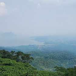 Diner's Bulalo - View