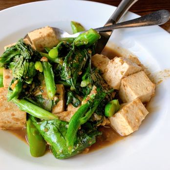 Cilantro Asian Bistro - Davie - Chinese broccoli with steamed tofu in brown sauce - Asian Fusion Near Me - Davie, Florida Cilantro Asian Bistro - Davie - Chinese broccoli with steamed tofu in brown sauce - Asian Fusion Near Me - Davie, Florida