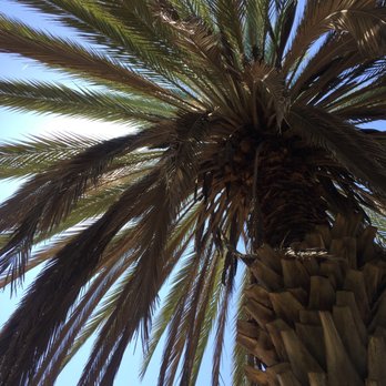 Rancho La Puerta - Travel Services Near Me