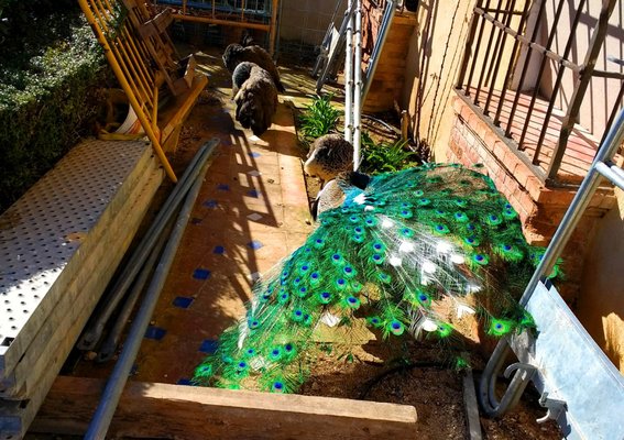 La Casa del Rey Moro by null