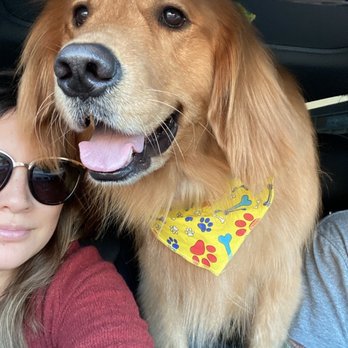 Healthy Spot - Long Beach - Pet Sitting Near Me - Long Beach, California Healthy Spot - Long Beach - Pet Sitting Near Me - Long Beach, California