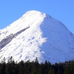 Wildmoosalm